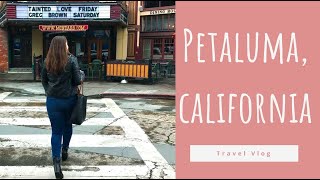 PETALUMA CA TRAVEL VLOG [upl. by Ttebroc897]