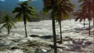 Tsunami Caught on Camera  Part 4 [upl. by Rich]