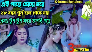 গাছে মেয়ে জন্মে এবং পেকে গেলে তলায় পড়ে  Korean Drama Explained In Bangla Korean drama Movie Review [upl. by Aynas892]