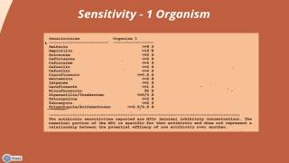 Interpreting a Urine Culture amp Sensitivity [upl. by Edrock]