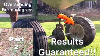 Bermuda lawn AerationOver seeding Guaranteed Results part 2 [upl. by Bonnee]