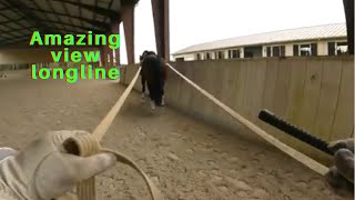 How to longline a horse for beginnerssafety and tips [upl. by Dnomyar]