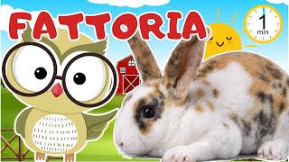 GLI ANIMALI DELLA FATTORIA  IMPARA I NOMI E I VERSI DEGLI ANIMALI DELLA FATTORIA  VIDEO EDUCATIVO [upl. by Esilrac]