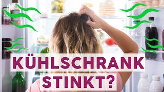 Was tun wenn der Kühlschrank stinkt  LIFEHACKS [upl. by Celka]