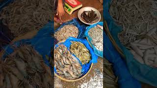 Delicious fish selling in market 😍 fishing fish shorts ￼ [upl. by Eedrahs]