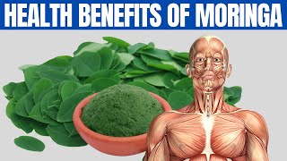 MORINGA BENEFITS  16 Amazing Health Benefits of Moringa You Should Know [upl. by Roldan]