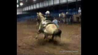 Buffy Calf Roping amp Team roping 2000 142H AQHA mare [upl. by Kori20]