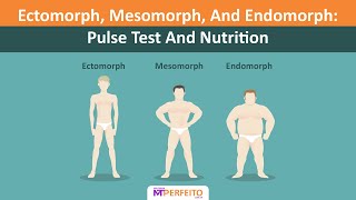 Ectomorph Mesomorph And Endomorph Pulse Test And Nutrition [upl. by Nnylesor]