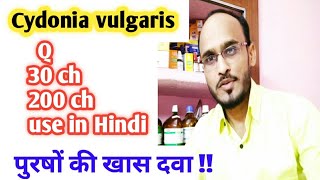 Cydonia vulgaris q 30ch 200ch use in hindi Cydonia vulgaris symptoms amp benefits [upl. by Jenn]