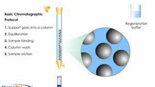 Column Chromatography [upl. by Arrak624]