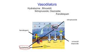 Pharmacology Online  Vasodilator [upl. by Oskar]