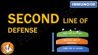 Innate immunity Second line of Defense An Overview FLImmuno06 [upl. by Sotos]