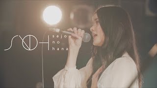 sajou no hana『グレイ  Evergreen』（沙上の夜 act2） [upl. by Sherfield]