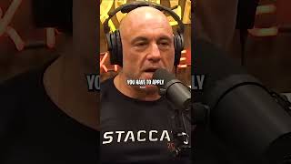 Joe Rogan on American Immigration [upl. by Benildis]