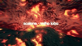 Scalene  velho lobo LyricVideo [upl. by Salahcin]