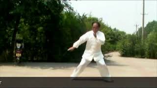 Chen Tian Hui  Tai Chi style Chen Xiaojia Yilu  陈氏太极拳 小架 Taijiquan style Chen Xiaojia [upl. by Eudora]