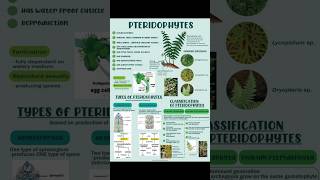 Pteridophytes  Plant kindgom  biology class11th plant  Manan Sachdeva  Bio Archives [upl. by Ainig885]