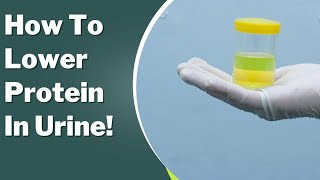 Proteinuria Treatment How to Lower Your protein in Urine [upl. by Christiano]