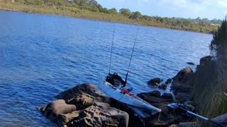 Fishing in merimbula back lake for bream flathead and eels [upl. by Brieta]