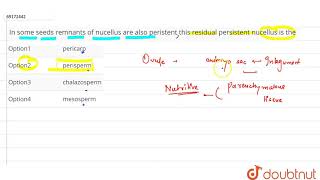 In some seeds remanats of nucellus are also perisstent this residual persistent nucellus is the [upl. by Yelsnik]