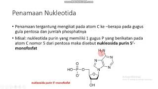 Tata Nama Nukleotida [upl. by Kelila]