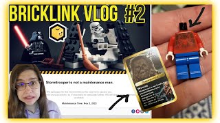 Bricklink Vlog 2  Bricklink was HACKED  Cool Finds  Sorting Inventory  LegoMaster738 [upl. by Atineg422]