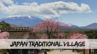 Japanese traditional village tour at Saiko Iyashi no Sato Nenba [upl. by Eiramenna]