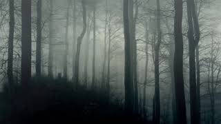 Dark Ambience  Horror Background Music 10 Hours [upl. by Roxanna]