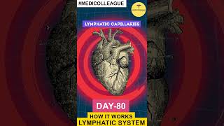 MEDICOLLEAGUE quotHow the Lymphatic System Works Protecting Your Healthquot neet100days science [upl. by Bill938]