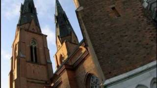 Uppsala  Lutheran Cathedral  Prelude [upl. by Nylatsyrc]