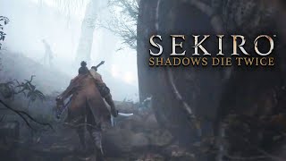 SEKIRO SHADOWS DIE TWICE 5  Meus ArquiInimigos  Gameplay em Português PTBR [upl. by Eltsyek]