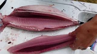 How to cark or fillet albacore tuna [upl. by Ydnyl656]