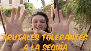 10 Frutales Tolerantes a la Sequía [upl. by Sitruc]