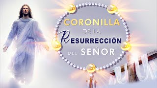 Coronilla de la Resurrección del Señor 🕯️ Rosario de Pascua ☀🤍 Paz Gracias Misericordia  LETRA [upl. by Naveb]