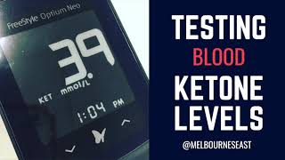 Testing for Ketones using Freestyle Optium Neo [upl. by Assennej533]