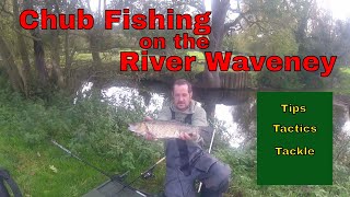 CHUB FISHING RIVER WAVENEY autumn days [upl. by Bock587]