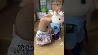 Sylvanian Drama Tiktok  Check It Out [upl. by Hayila]