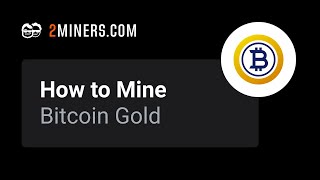 How to Mine Bitcoin Gold  BTG Mining Pool Setup [upl. by Akenehs]