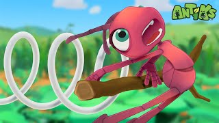 Springing Into Action  Antiks 🐜  Funny Cartoons for Kids [upl. by Winer]