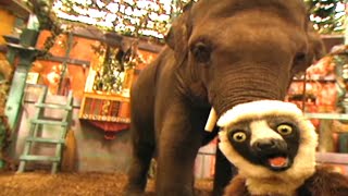 Zoboomafoo with the Kratt Brothers BABY ELEPHANT 2  Full Episodes Compilation [upl. by Eremaj590]