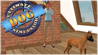 Adopted by a New Owner 🐶 Ultimate Dog Simulator  Episode 2 [upl. by Jezrdna315]