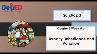 science 3 Q2 W5b Heredity Inheritance and Variation [upl. by Graner]