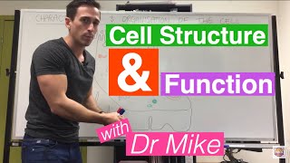 Cell Structure and Function [upl. by Geraint809]