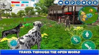 Dog Simulator 3D Cool Missions By CyberGoldfinch [upl. by Pembrook]