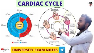 Cardiac Cycle  CVS Physiology  MBBS  Nursing  BMLT  DMLT lecturer [upl. by Raina588]