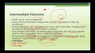 PHYSIOLOGY LECTURE 2024 PART 2 complete [upl. by Amery]