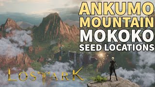 ALL Ankumo Moutain MOKOKO SEEDS  Lost Ark Collectibles [upl. by Val722]