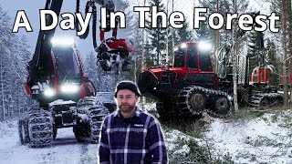 A day as a forest machine operator 2  Sweden [upl. by Cash386]