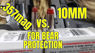 10mm vs 357 Magnum for Bear Protection in Alaska [upl. by Ricardama]