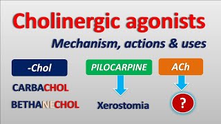 Cholinergic agonists  Mechanism actions side effects amp uses [upl. by Salb]